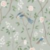 Paradise Birds 1903